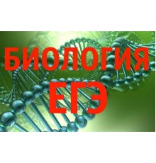 Курс ЕГЭ по биологии: С нуля до результата