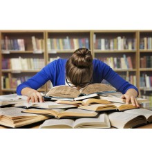 Курс ОГЭ по литературе: Экспресс