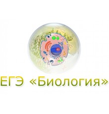 Курс ЕГЭ по биологии: Базовый курс