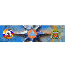 Курс ГО и ЧС: Проектный трек