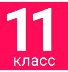 Курс 11 класс: PRO‑программа