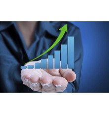 Курс Банковское дело: Проектный трек