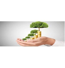 Курс Благосостояние: Интенсив