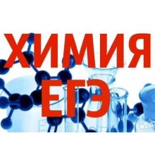 Курс ЕГЭ по химии: Интенсив