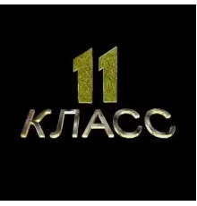 Курс 11 класс: С нуля до результата
