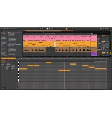 Курс Ableton Live: Bootcamp