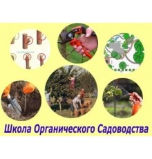 Курс Садоводство: Базовый курс