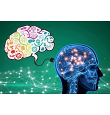 Курс Развитие памяти: Проектный трек