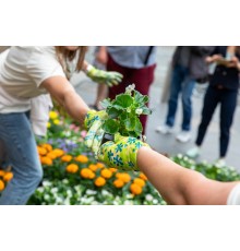 Курс Садоводство: Экспресс