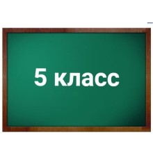 Курс 5 класс: Базовый курс